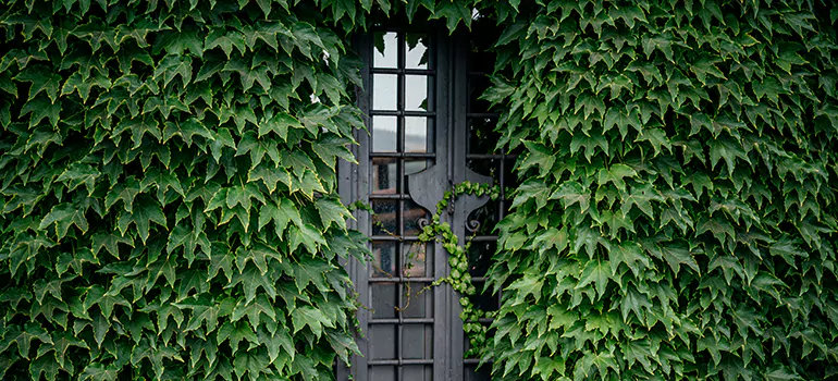 Garden Gate Repair in Golden Glades, FL